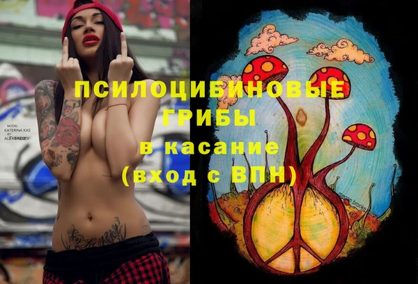 меф Мегион