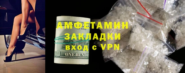 индика Медногорск