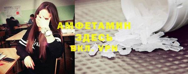 индика Медногорск