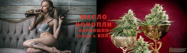 индика Медногорск
