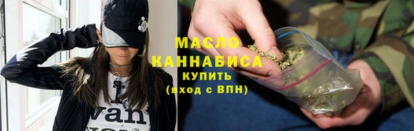индика Медногорск