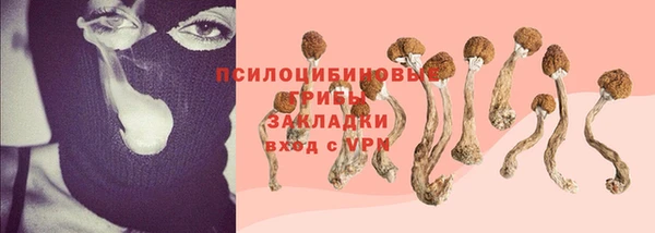 дживик Новодвинск