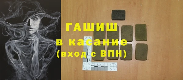индика Медногорск
