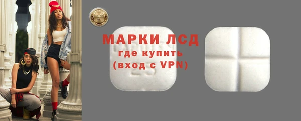 индика Медногорск