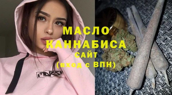 индика Медногорск