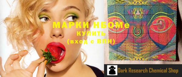 индика Медногорск