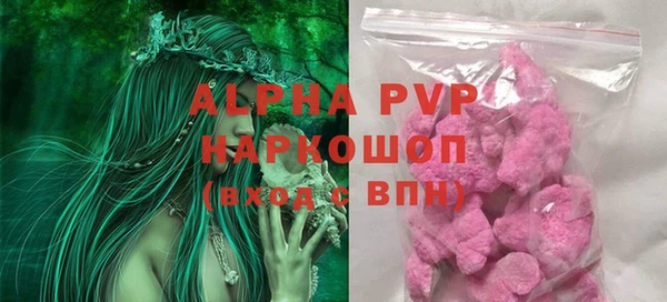 индика Медногорск