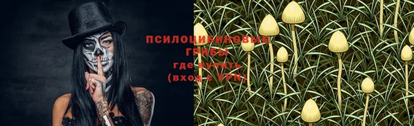 первитин Белоозёрский