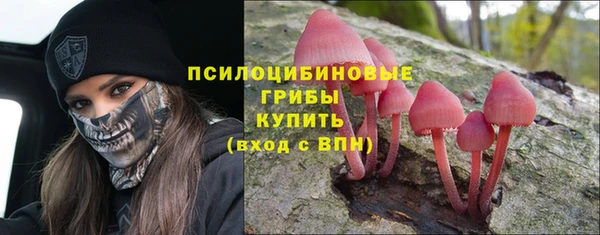 меф Мегион