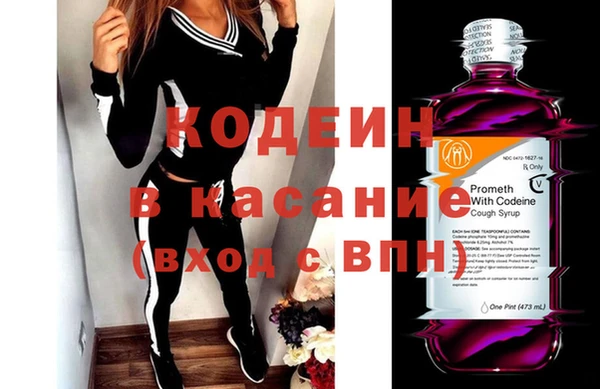 индика Медногорск