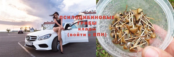 индика Медногорск
