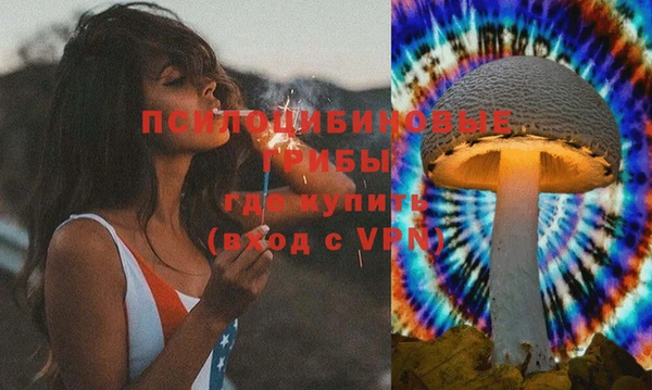 меф Мегион