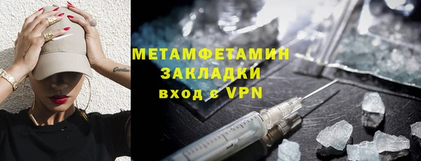 сатива Беломорск