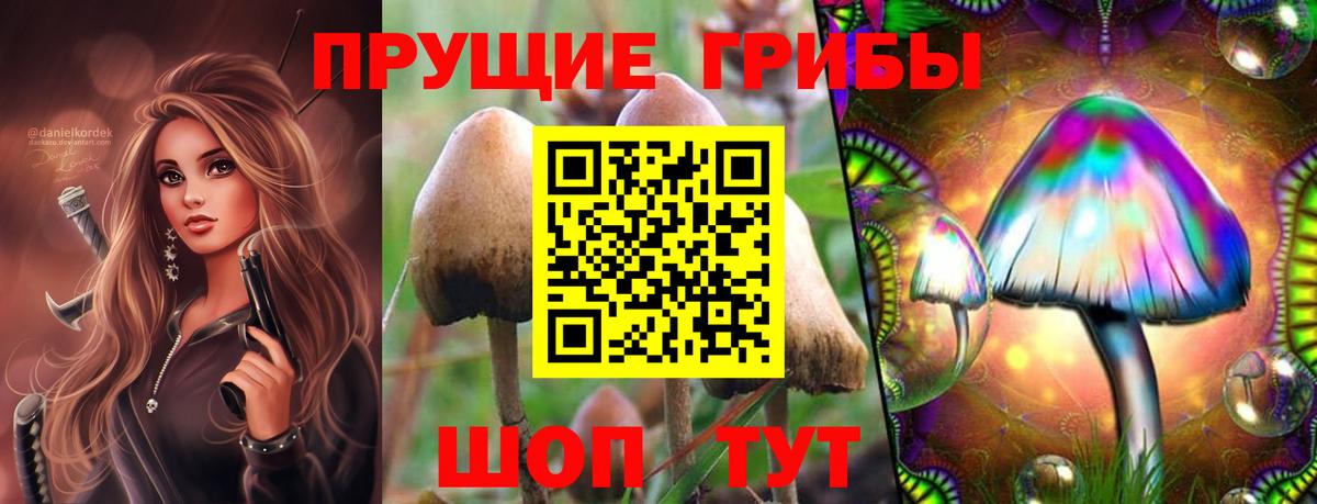 Галлюциногенные грибы мицелий  Вход с VPN  Армавир  Псилоцибиновые грибы мухоморы 