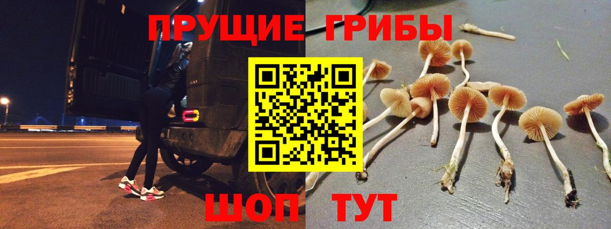 A PVP СК кристаллы  Где купить наркотики?  Cocaine  Армавир  ГАШИШ  Меф   Меф МЯУ МЯУ кристаллы 