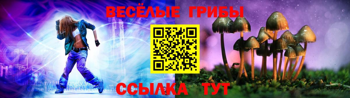 Галлюциногенные грибы мухоморы Армавир